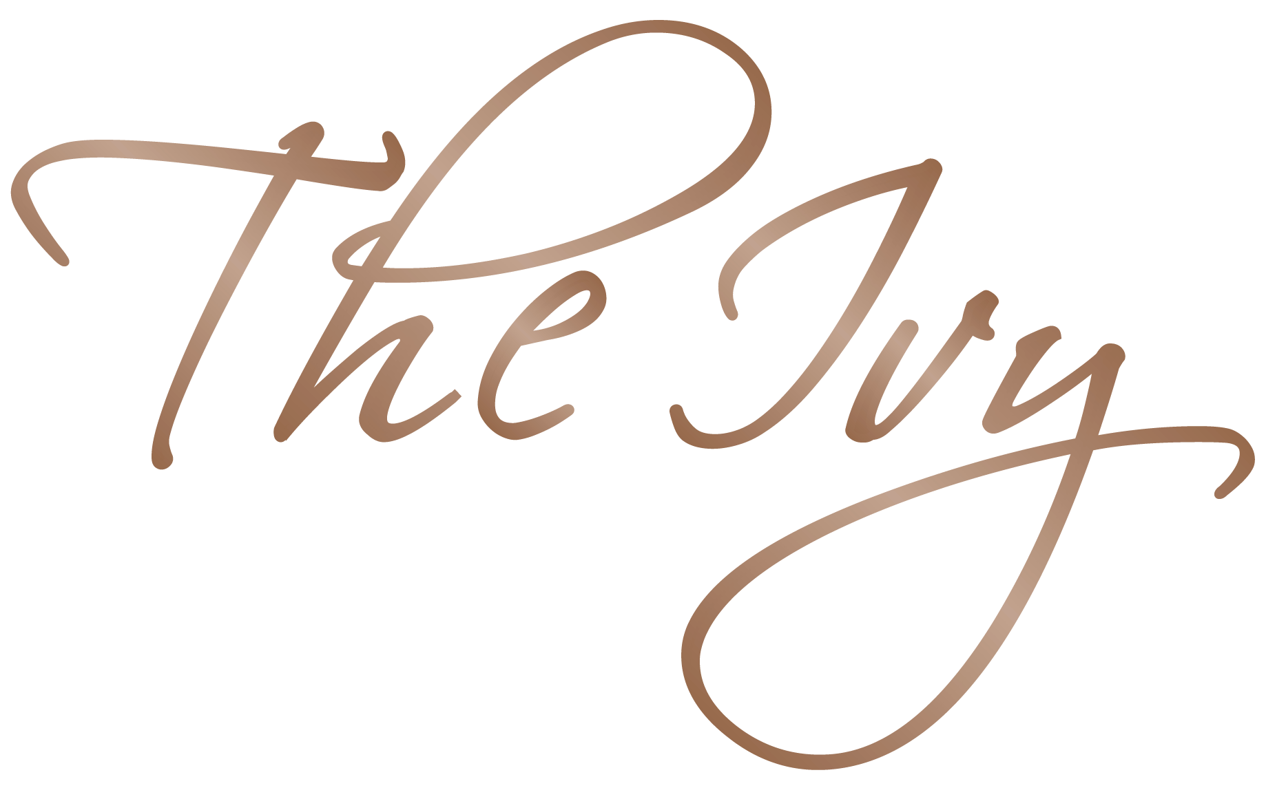 College Station Apartments College Station Apartment for Rent The IVY